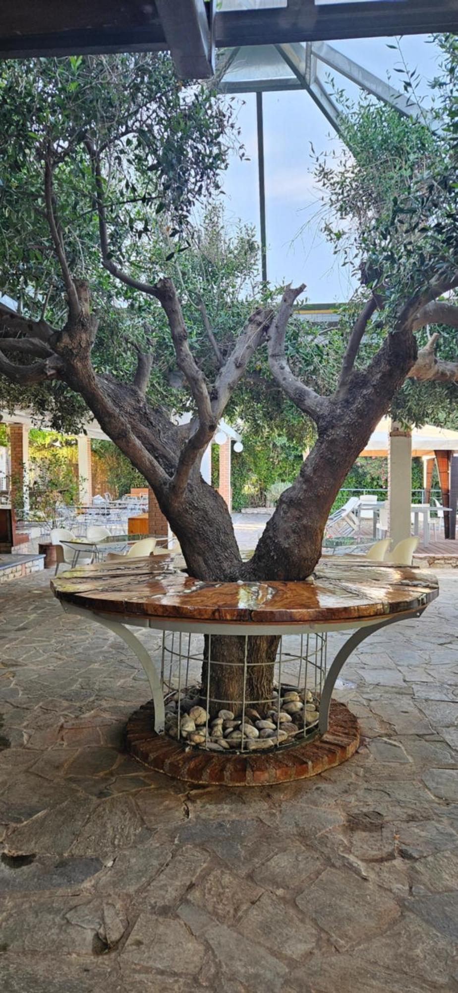 אולימפיה Olympic Village Hotel & Spa מראה חיצוני תמונה